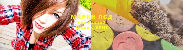 хмурый Аркадак