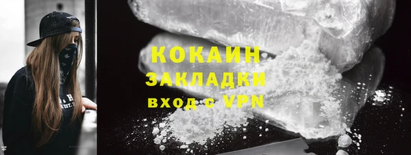 хмурый Аркадак
