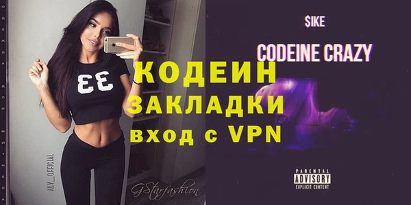 хмурый Аркадак