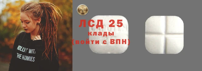 хмурый Аркадак