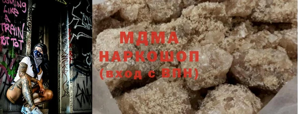 хмурый Аркадак